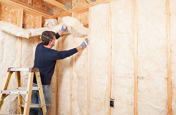 Types of Insulation We Offer in Dana Point, CA